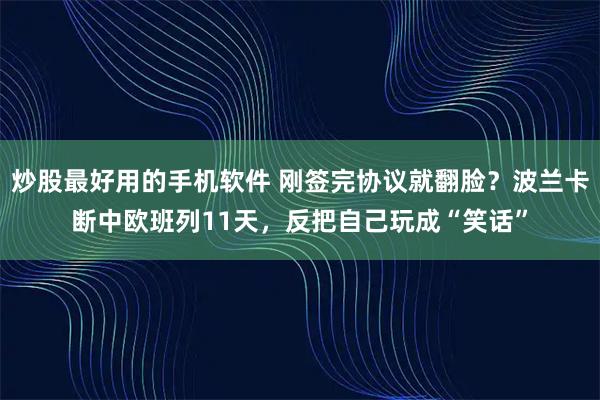 炒股最好用的手机软件 刚签完协议就翻脸？波兰卡断中欧班列11天，反把自己玩成“笑话”